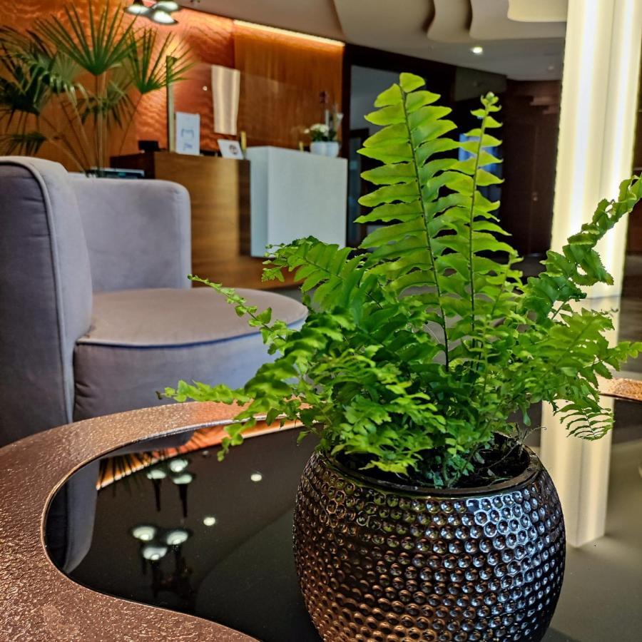 קושצ'יז'נה Bazuny Hotel&Spa מראה חיצוני תמונה